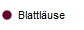 Blattl�use